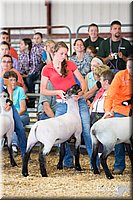 LCFAIR14-1536.jpg