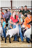LCFAIR14-1537.jpg