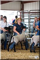 LCFAIR14-1538.jpg