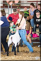 LCFAIR14-1541.jpg