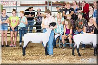 LCFAIR14-1542.jpg