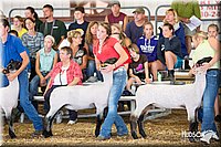 LCFAIR14-1547.jpg