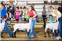 LCFAIR14-1550.jpg