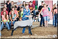 LCFAIR14-1554.jpg