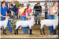 LCFAIR14-1557.jpg