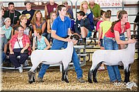 LCFAIR14-1558.jpg