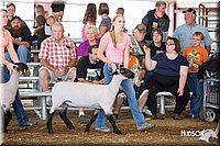 LCFAIR14-1560.jpg