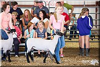 LCFAIR14-1563.jpg