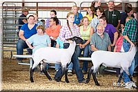 LCFAIR14-1566.jpg