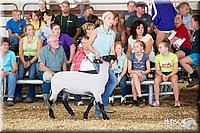LCFAIR14-1570.jpg