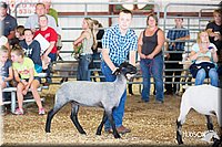LCFAIR14-1572.jpg