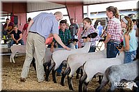 LCFAIR14-1576.jpg