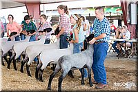 LCFAIR14-1577.jpg