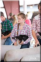 LCFAIR14-1578.jpg