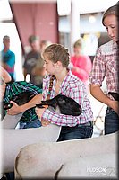 LCFAIR14-1579.jpg