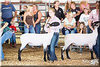 LCFAIR14-1582.jpg