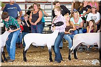 LCFAIR14-1584.jpg
