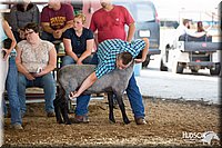 LCFAIR14-1586.jpg