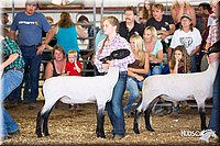 LCFAIR14-1594.jpg