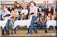 LCFAIR14-1595.jpg