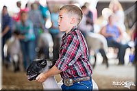 LCFAIR14-1601.jpg