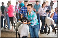 LCFAIR14-1602.jpg