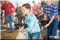 LCFAIR14-1603.jpg