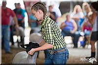 LCFAIR14-1611.jpg