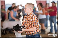 LCFAIR14-1619.jpg