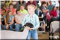 LCFAIR14-1621.jpg