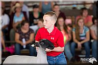LCFAIR14-1623.jpg