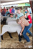 LCFAIR14-1625.jpg