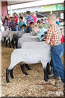 LCFAIR14-1626.jpg