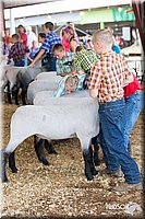 LCFAIR14-1627.jpg