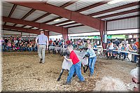LCFAIR14-1628.jpg