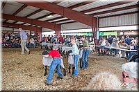LCFAIR14-1629.jpg