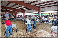 LCFAIR14-1630.jpg