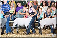 LCFAIR14-1636.jpg
