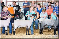 LCFAIR14-1638.jpg