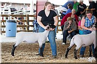 LCFAIR14-1640.jpg