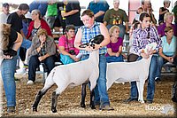 LCFAIR14-1641.jpg