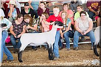 LCFAIR14-1645.jpg