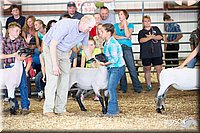 LCFAIR14-1647.jpg