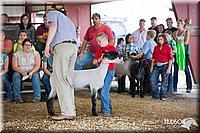LCFAIR14-1650.jpg