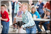 LCFAIR14-1655.jpg