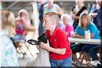 LCFAIR14-1657.jpg