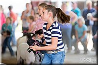 LCFAIR14-1672.jpg
