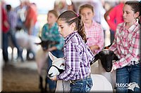 LCFAIR14-1674.jpg