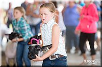 LCFAIR14-1676.jpg