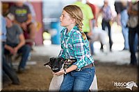 LCFAIR14-1678.jpg